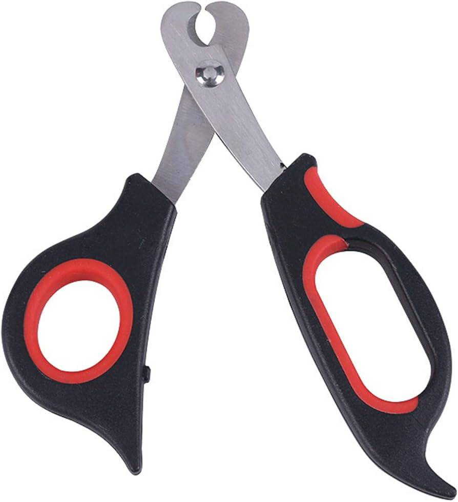 ناخنگیر مایا
