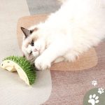 IMG_20260531_152401
