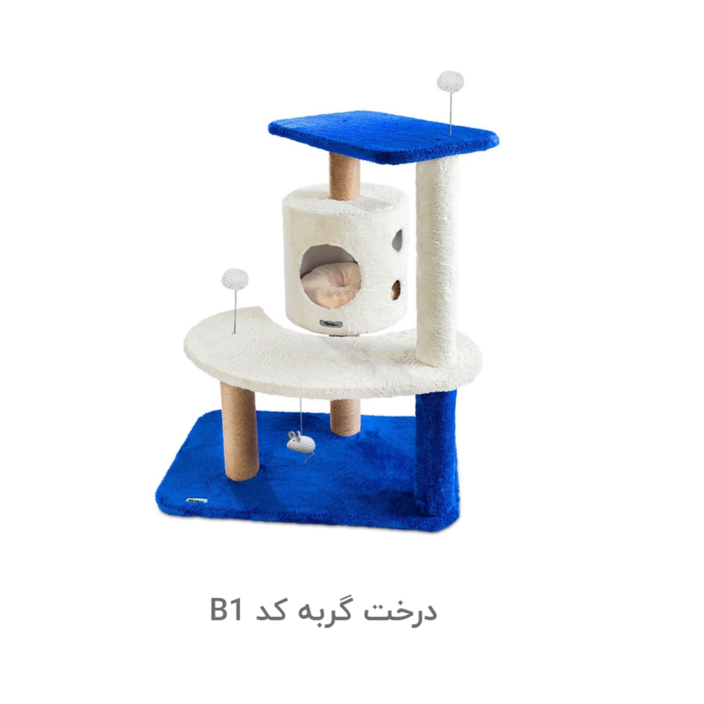 درخت گربه کد B1