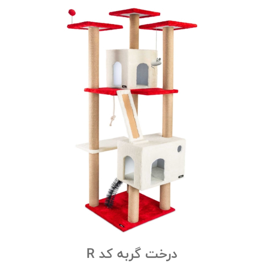 درخت گربه کد R