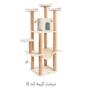 درخت گربه کد Q