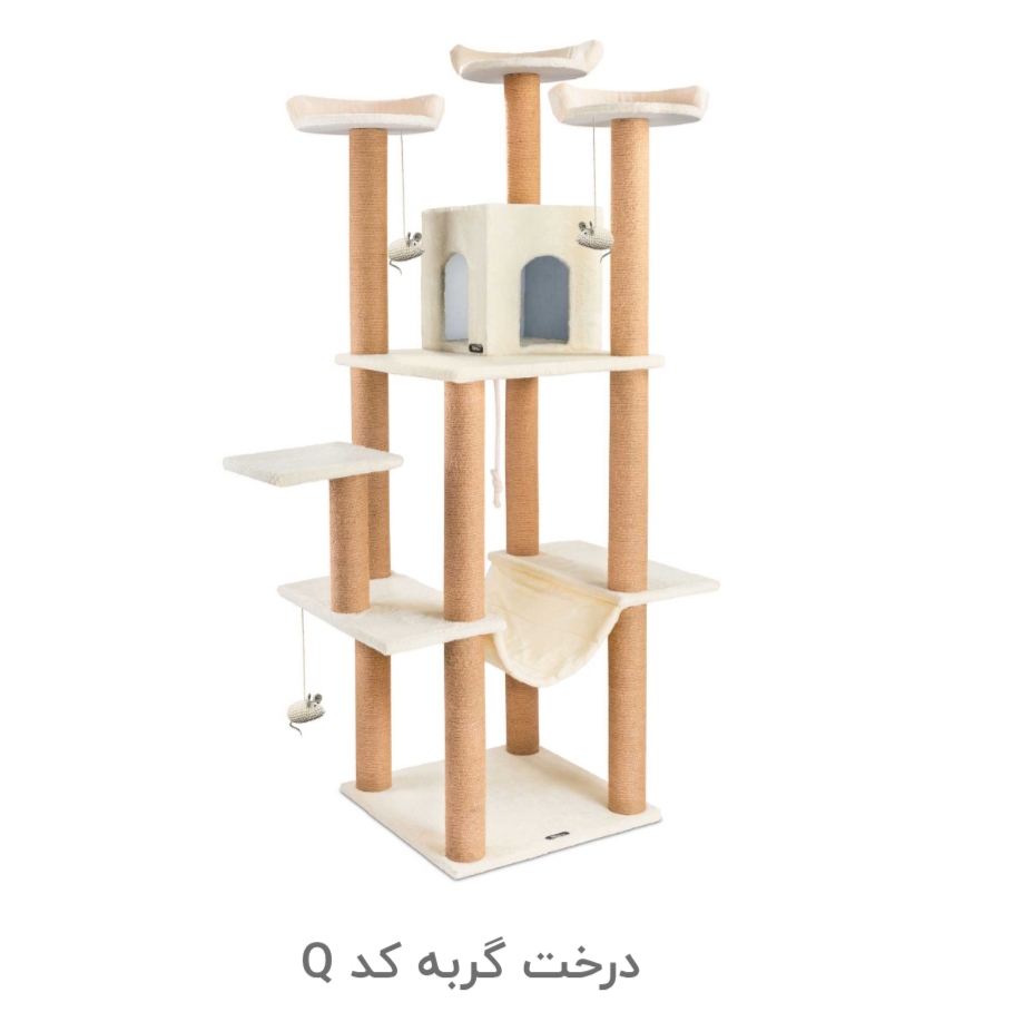 درخت گربه کد Q