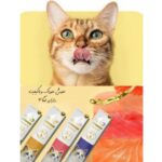 بستنی olivet pet گربه