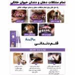 قلم دندانی