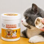 دستمال مرطوب گوش الیزابت